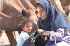 راهیابی «زندگی و زندگی» به جشنواره ماربلا اسپانیا