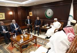 دیدار سرپرست وزارت خارجه با دبیرکل سازمان همکاری اسلامی