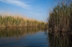 «دریای بزرگ» با موضوع هورالعظیم ساخته می‌شود