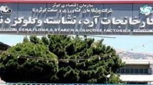 «آرد کلوکز و نشاسته یاسوج» با حداقل ظرفیت مشغول کار است
