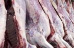 ۱۱ تن گوشت اسب در کردستان معدوم شد