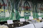 جمع آوری ۲۰۷ کیلوگرم موادمخدر از محیط پیرامونی مدارس تهران