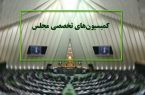 بررسی کالابرگ الکترونیک و سلامت کشور در دستور کار کمیسیون‌های مجلس