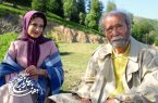 «هفت بهارنارنج» به اکران آنلاین آمد