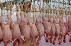 بیش از یک هزار تن گوشت سفید در امیدیه تولید شد