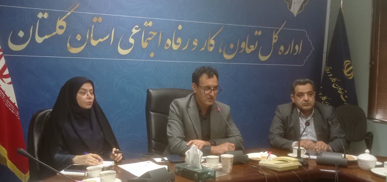 ثبت ۷۸ شرکت تعاونی در سال ۱۴۰۳ در گلستان