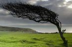صدور هشدار سطح نارنجی هواشناسی در خوزستان/ورود گردوخاک و تندبادهای لحظه‌ای