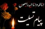 پیام تسلیت انجمن صنفی شرکت‌های مهندسی برق گلستان بمناسبت شهادت جمعی از فرماندهان، دانشمندان و مردم بی‌گناه