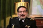 شمخانی: تقدیر آن بود که با تنی زخمی بمانم