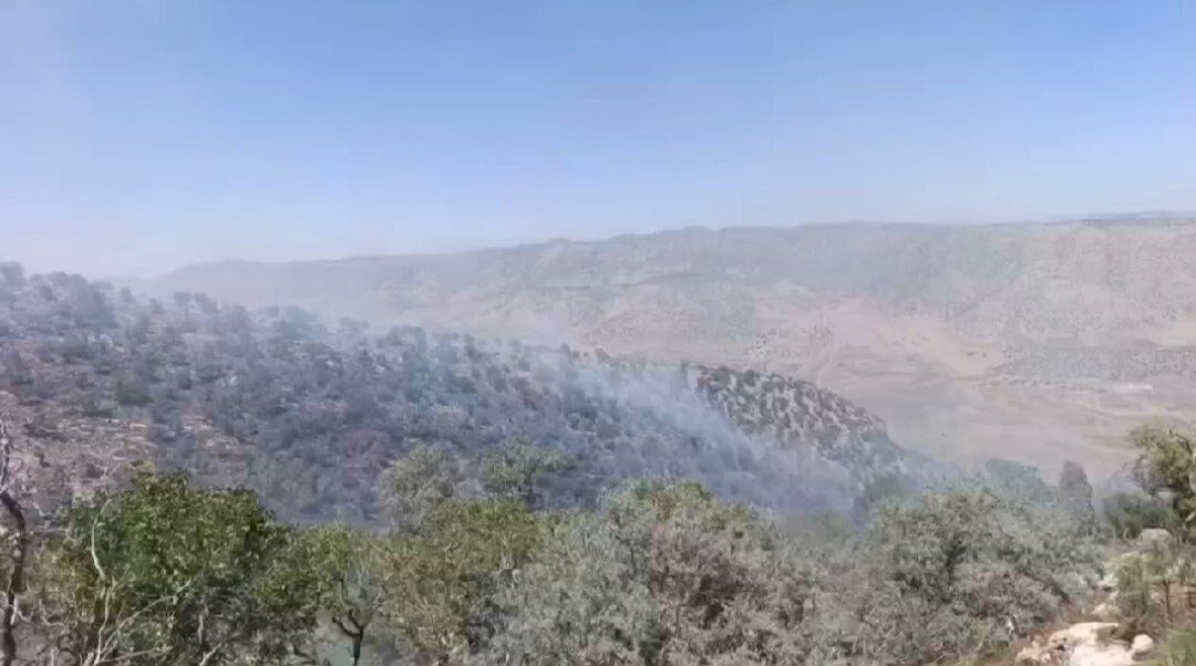 آتش ارتفاعات سریوان گیلانغرب را فرا گرفت