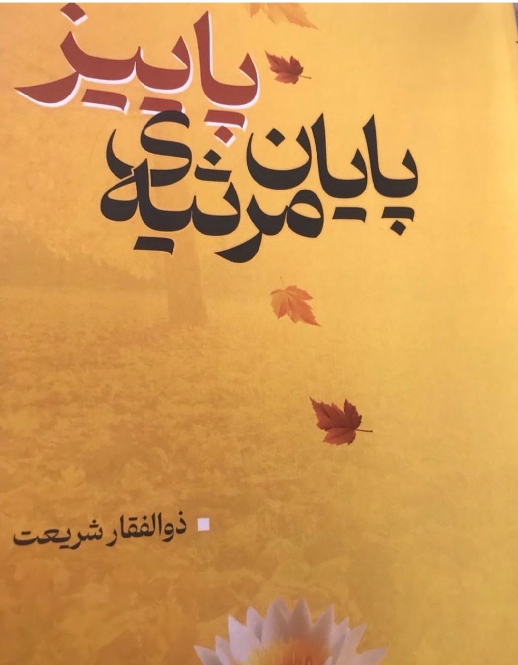 نگاهی به مجموعه شعر «پایان مرثیه‌ی پاییز» اثر ذوالفقار شریعت