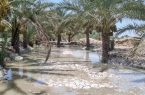 رهاسازی ۳۶ میلیون مترمکعب آب برای نخلستان‌های پایین دست شادگان