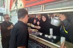 سخنگوی دولت از موکب‌ها در مرز مهران بازدید کرد