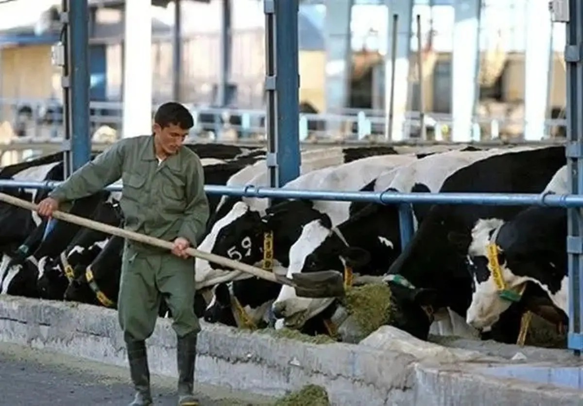 مرگ یک کارگر دامداری بر اثر برق گرفتگی