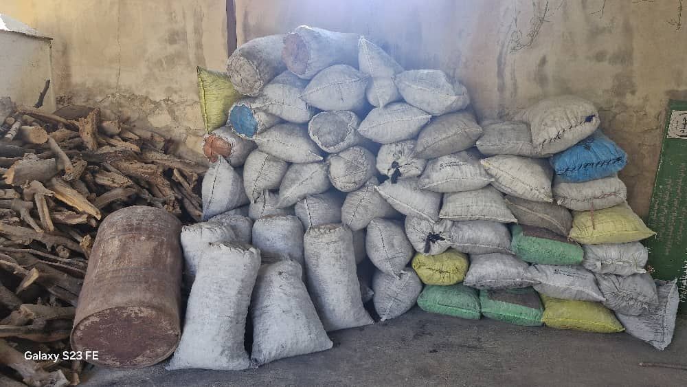 کشف بیش از ۶ تن چوب و زغال قاچاق در کهگیلویه و بویراحمد