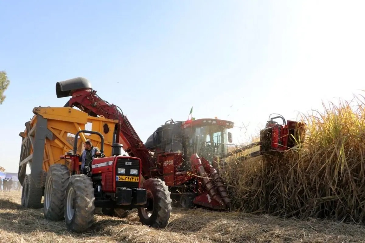 خواستار عقد قرار داد کار قانونی، حقوق مکفی و امنیت شغلی هستیم