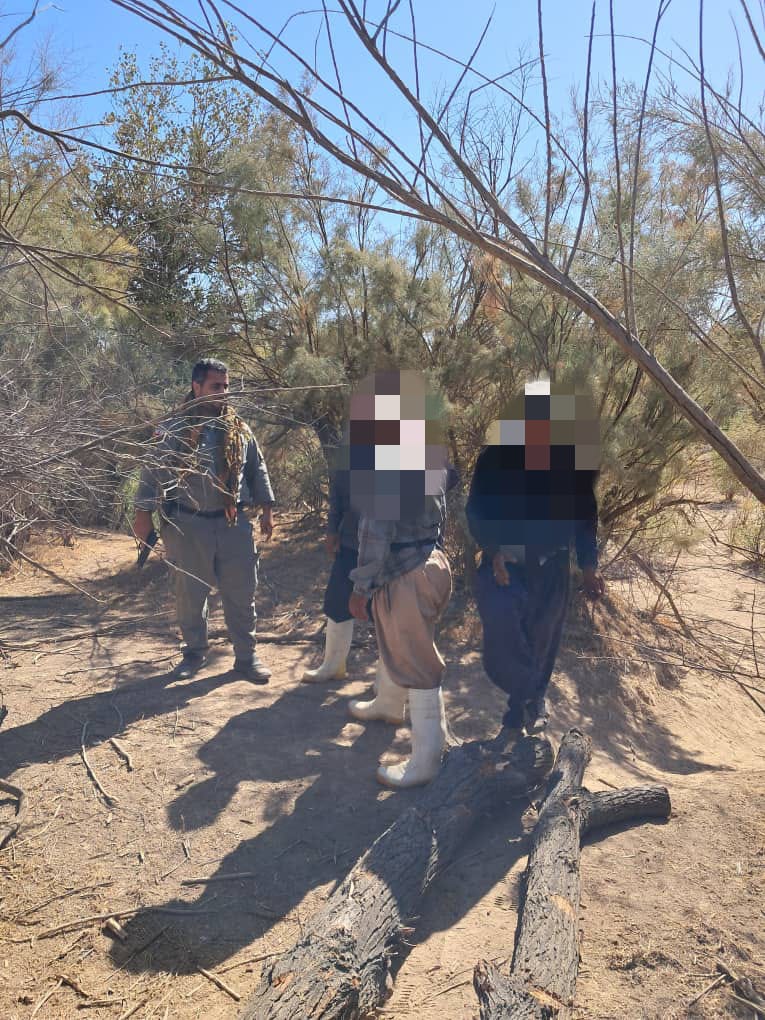 دستگیری سه متخلف قطع درختان در پارک ملی کرخه