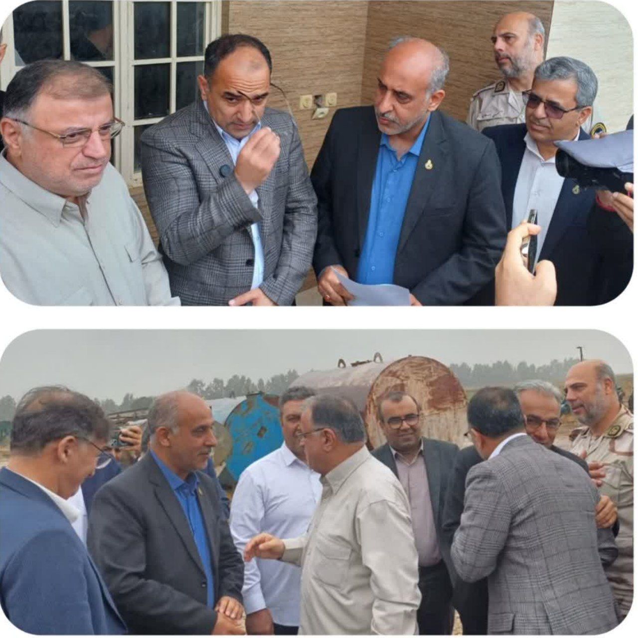 توسعه باغات زیتون و اشتغال پایدار در مناطق مرزی گلستان ادامه دارد