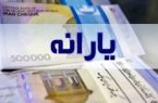 ۳.۳ همت یارانه دارو به حساب سازمان‌های بیمه‌گر پایه درمان واریز شد