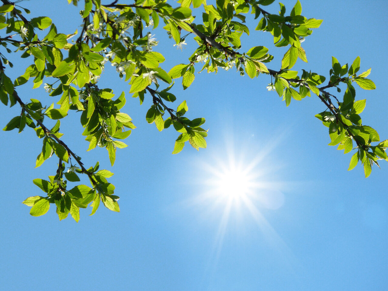 جو پایدار در اغلب مناطق کشور/ بارش پراکنده در گیلان