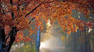 کاهش نسبی دمای هوا در نیمه شرقی کشور