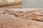 تداوم بارش‌ها در خوزستان؛ سیلاب‌ در مناطق مختلف و سفیدپوشی دزپارت