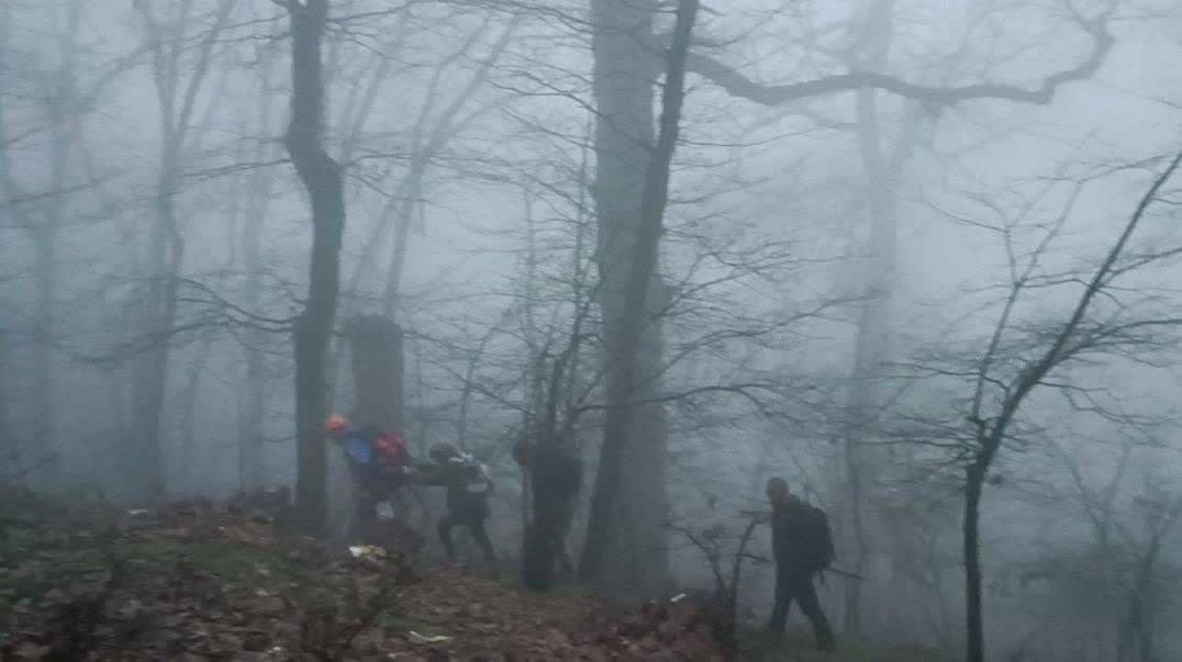 آتش سوزی جنگلهای حاشیه منطقه حفاظت شده تالش مهار شد