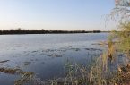 افزایش سطح آبگیری تالاب بامدژ در اهواز