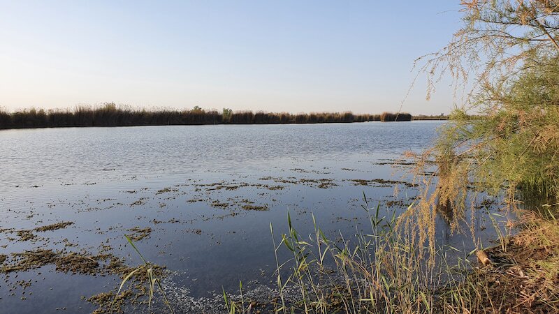 افزایش سطح آبگیری تالاب بامدژ در اهواز