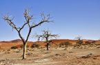 شرایط اقلیم، کاهش بارندگی و دست کاری انسان، از دلایل بیابان زایی در خوزستان هستند