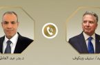 رایزنی وزیر خارجه مصر با ویتکاف درباره روند مذاکرات ایران و آمریکا