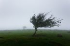 سرعت باد در نیر به ۹۴ کیلومتر بر ساعت رسید