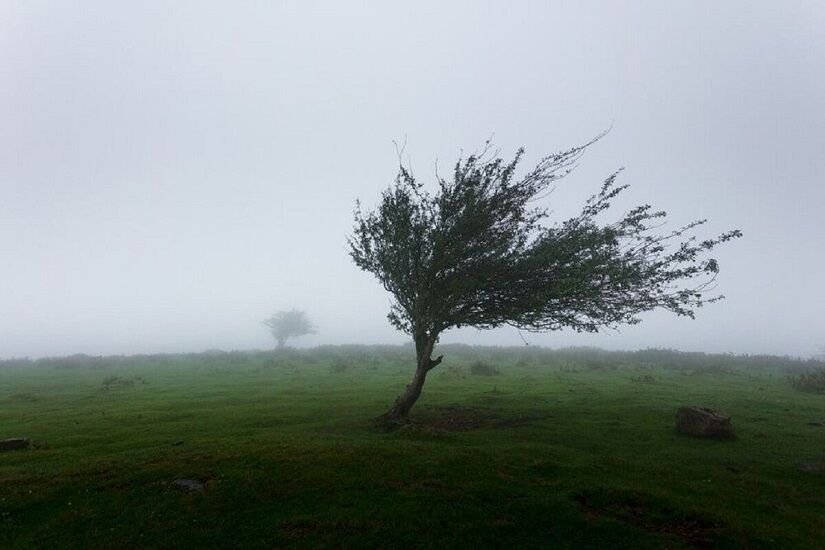 سرعت باد در نیر به ۹۴ کیلومتر بر ساعت رسید