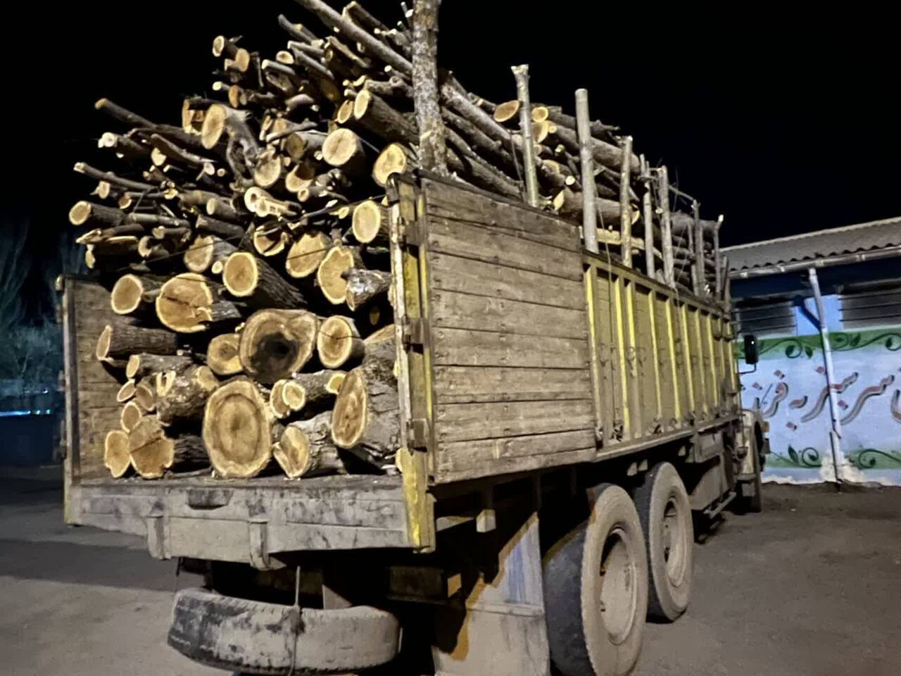 کشف قاچاق درختان تاغ در ورامین