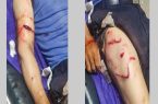 حمله خرس به یک روستایی در مراغه