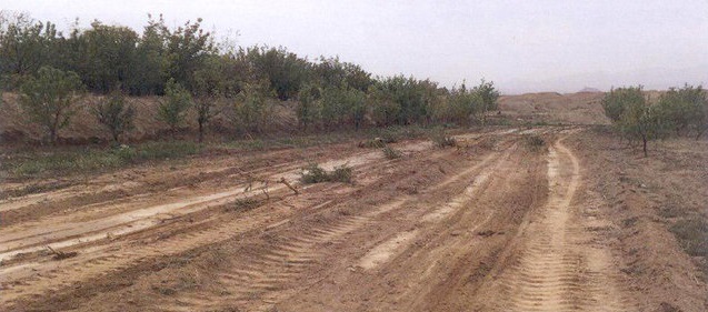 ۲ هزار هکتار اراضی بایر استان تهران شناسایی شد